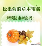 松树果果的花语代表什么含义？