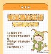 纪念先贤的花语和寓意有哪些？适合纪念先贤的花是什么？