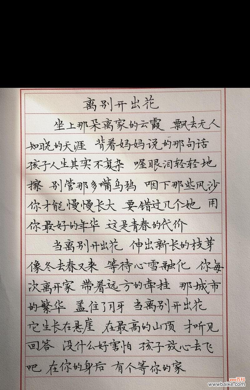 花语花开下一句是什么？别离开你的花语是什么？