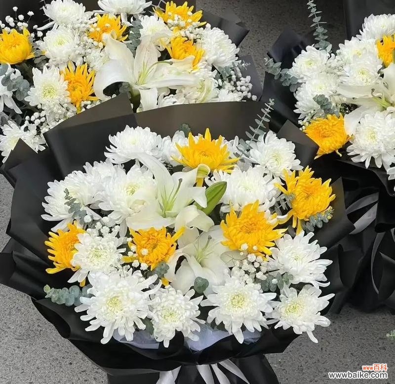 菊花的花语代表什么？