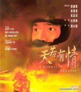 天若有情花语代表什么？哪种花能表达这种情感？