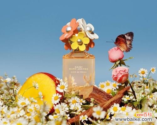 香水花语代表什么?香水花象征什么?