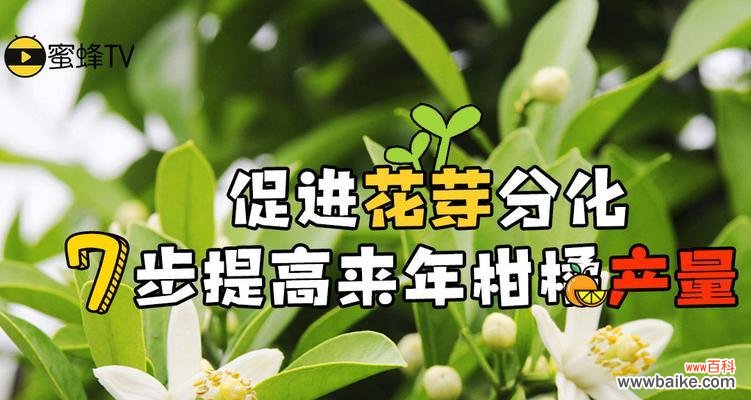 探索植物花芽分化的意义和过程 花芽分化