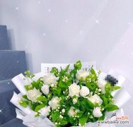 茉莉花搭配的花语是什么？茉莉花与其他花搭配有何寓意？