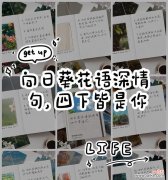 花语“所愿皆所得”是什么意思？“所愿皆所得”花语代表什么？