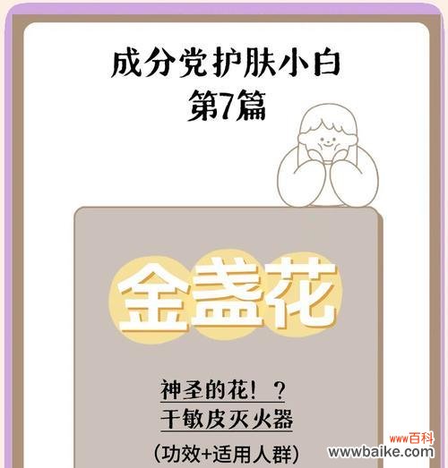 金盏花花语的准确意思是什么？它代表了什么？