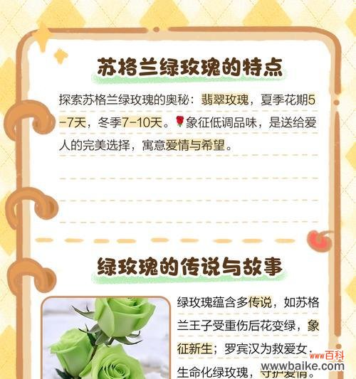 白绿色玫瑰的花语有何含义？