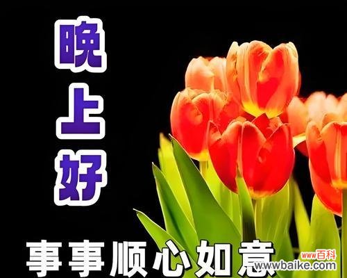 夜晚的花语由哪种花表达？