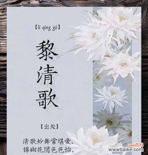 清香逸人的花语有何寓意?