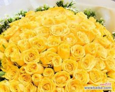 探究黄玫瑰的内涵及其与人们情感的纽带 黄玫瑰的代表意思及其象征之美