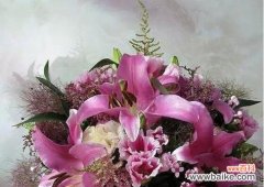 以表示祝贺的花花语 花开祝福，花开祝贺