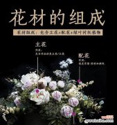 常见花材的寓意和花语是什么？它们各自代表什么？