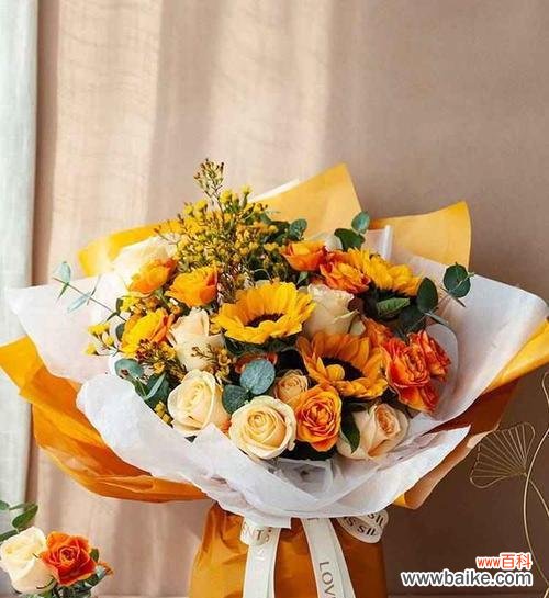 讲台送的花语有何特别含义？它在教育场合代表什么？