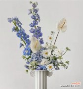 独行的花语代表什么意义？