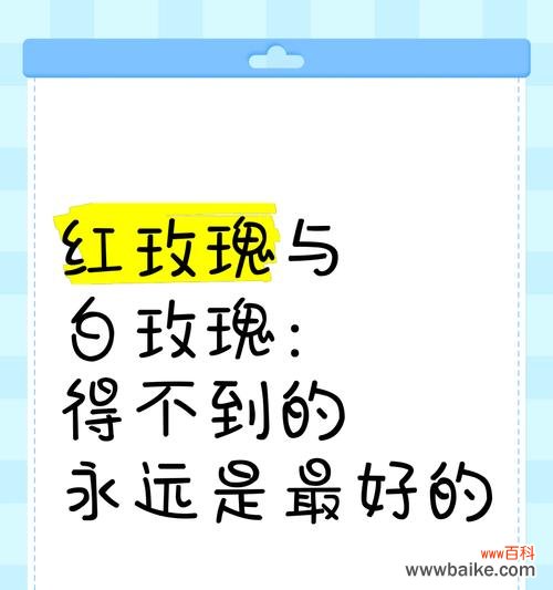 红白玫瑰组合的花语有何含义?