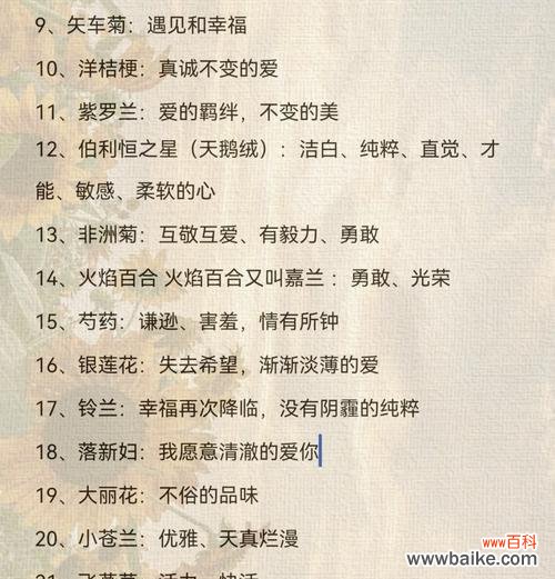 红白玫瑰组合的花语有何含义?