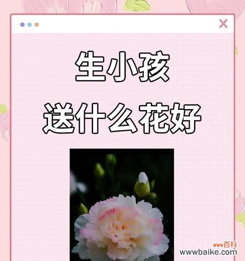 花语在哪些场合使用？如何恰当地使用花语？