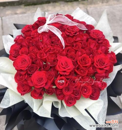 探寻不同朵数玫瑰的花语及象征意义 玫瑰花语