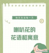 天然气象征着什么花语？它有何寓意？