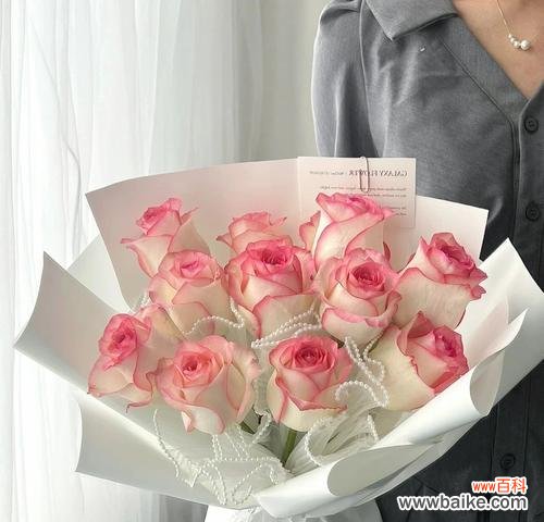 艾莎玫瑰与其他玫瑰搭配的花语是什么?如何选择搭配?