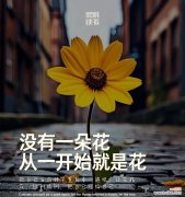 哪种花象征着未开始的爱恋？