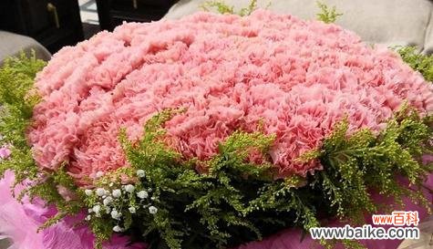 尊重寓意是什么花语？哪种花代表敬意和尊重？