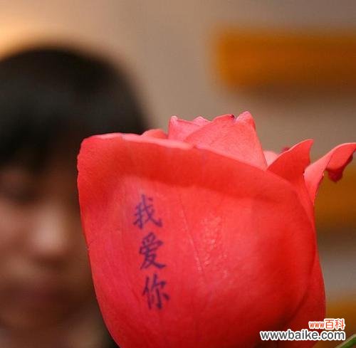 如何用花语表达对老公的爱意？