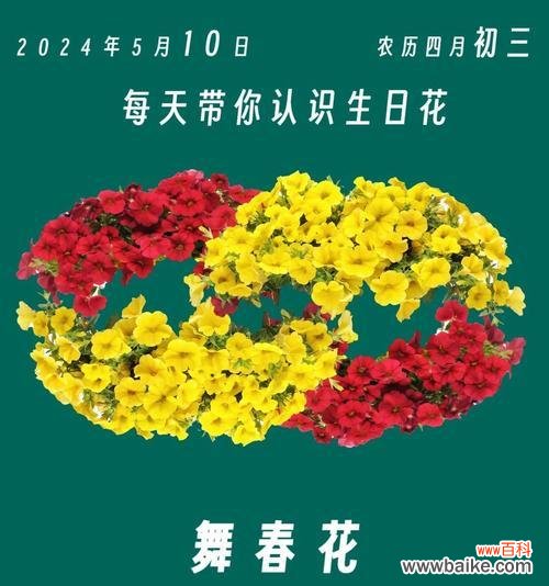 阴历8月是什么花语呢？阴历8月的花语代表什么？