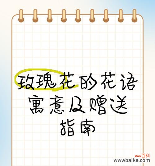 男生送玫瑰花的寓意是什么？