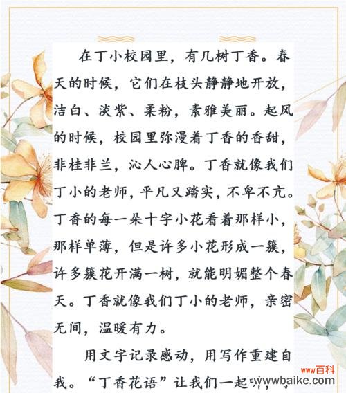 表达想要再见一面的花语有哪些?