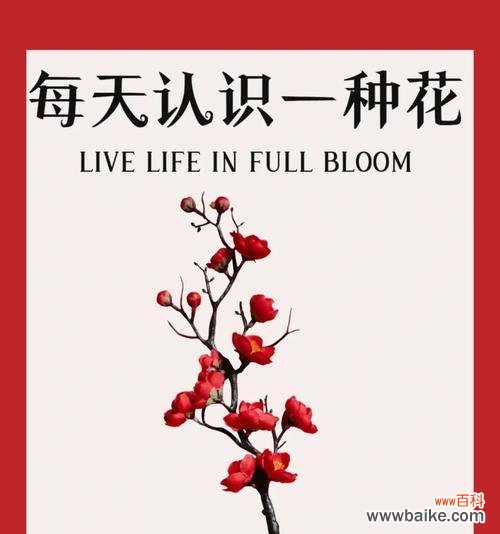 女生用花语告诉男生意味着什么?花语背后的含义是什么?