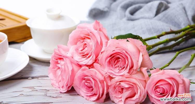 十五朵玫瑰花的花语和寓意是什么？