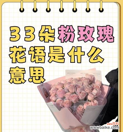 十五朵玫瑰花的花语和寓意是什么？