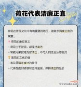 荷花的寓意和花语有哪些？