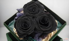 秀恩爱的玫瑰花语是什么？玫瑰花语在爱情中的作用是什么？