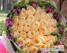 赔礼时送女生什么玫瑰花好？哪种玫瑰花语最恰当？