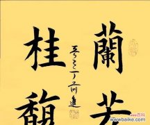 兰花的花语和寓意是什么？兰花代表了哪些意义？