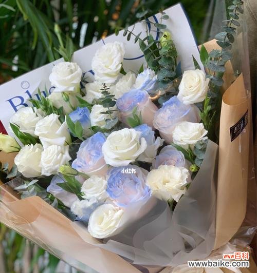 传递纯洁和美丽的桔梗白色花语 桔梗白色花语的意义及传承