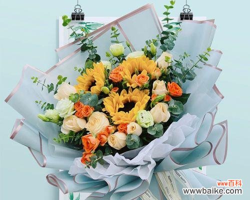 探寻九朵玫瑰的深层内涵 九朵玫瑰的象征意义与寓意