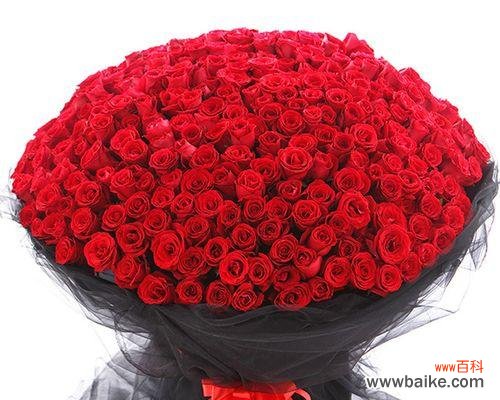 探寻九朵玫瑰的深层内涵 九朵玫瑰的象征意义与寓意