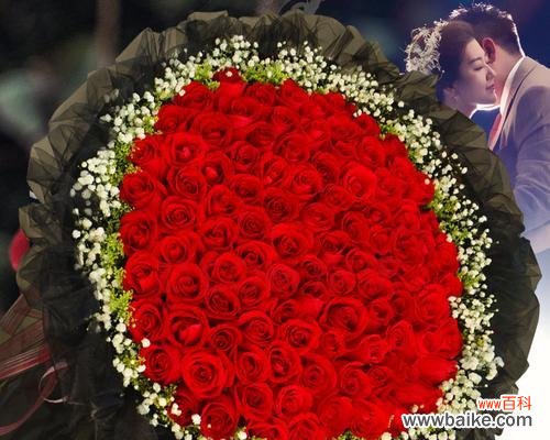 以九朵玫瑰花为例,解读不同寓意 玫瑰花的象征意义