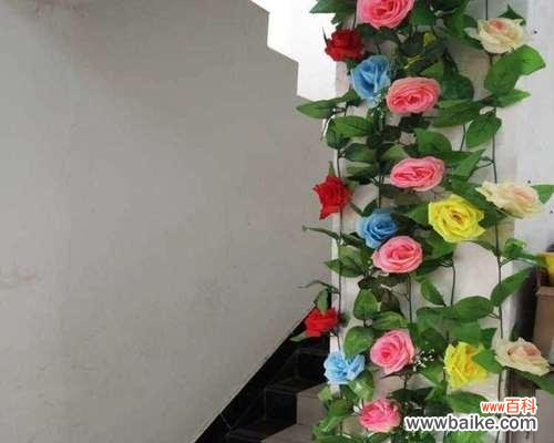 以九朵玫瑰花为例,解读不同寓意 玫瑰花的象征意义