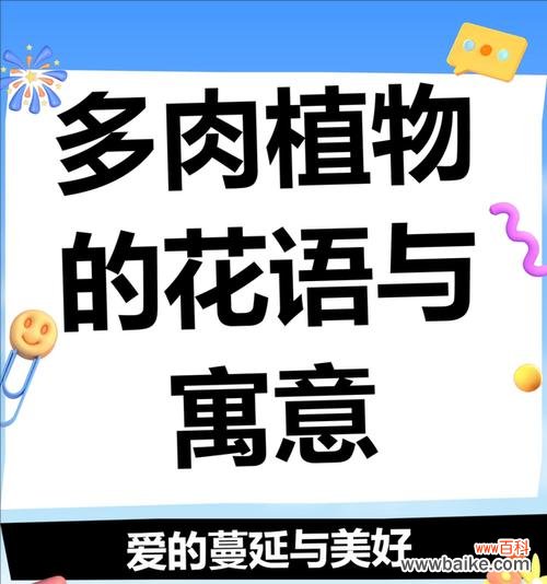 红蝶多肉的花语和寓意是什么?红蝶多肉养护技巧有哪些?