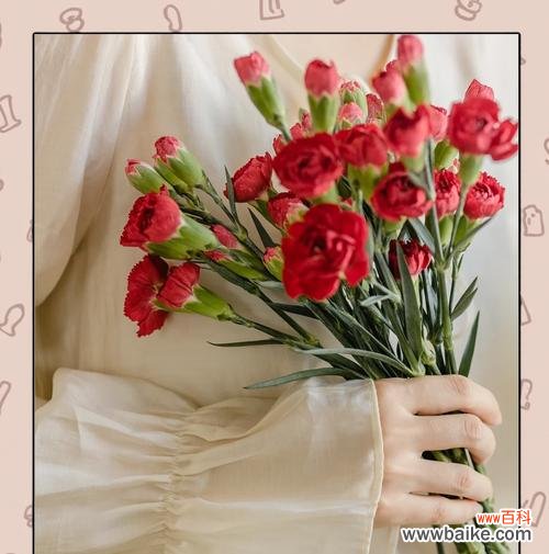 表达担待与宽容的花语有哪些？