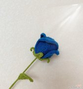 钩针玫瑰的寓意和花语是什么？它有什么特别的含义吗？