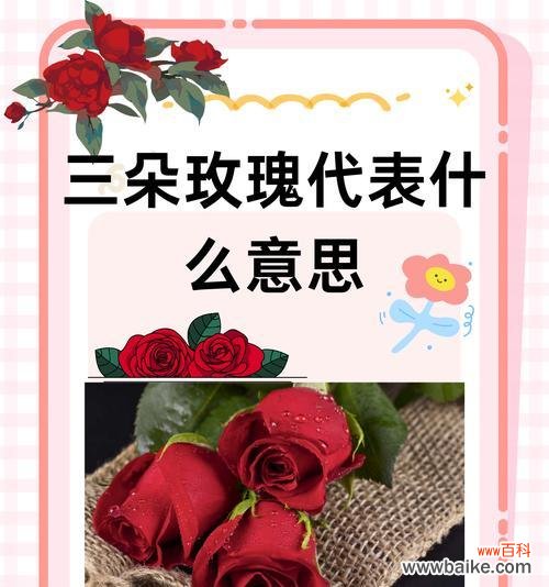 玫瑰花束中多少朵花寓意最佳？如何选择合适的数量表达情感？