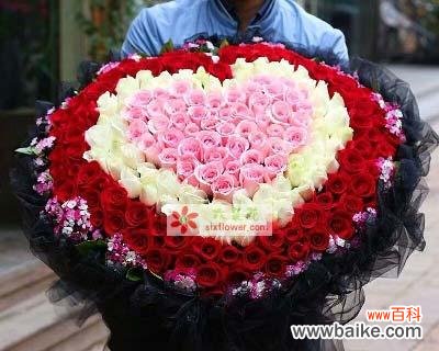 99支玫瑰花的含义是什么?白色和红色玫瑰组合代表什么?