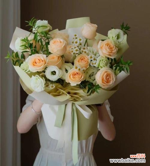 送半开的玫瑰花的寓意是什么?半开玫瑰传递了怎样的情感?