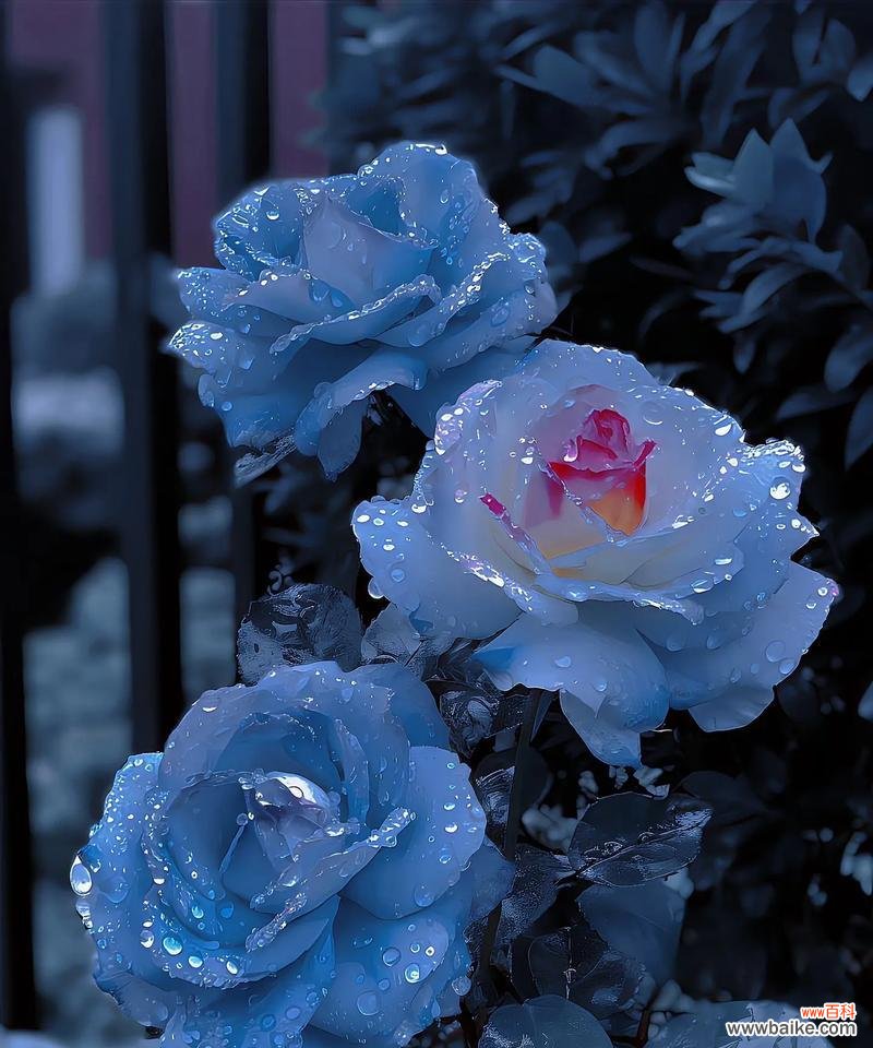 哪种花的花语代表后悔？