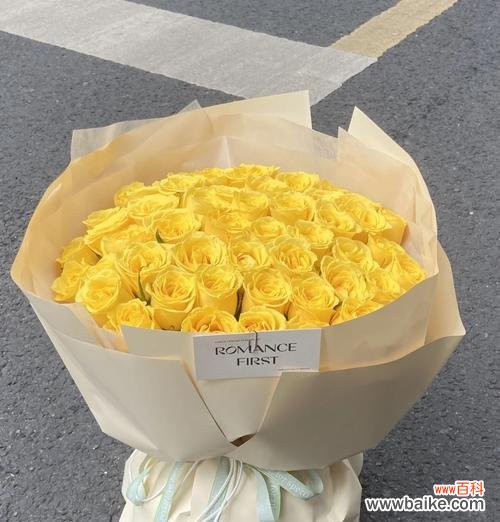 玫瑰花代表什么？它的象征意义有哪些？